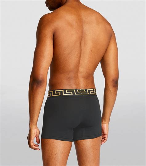 versace men's boxer briefs|versace boxer shortsword.